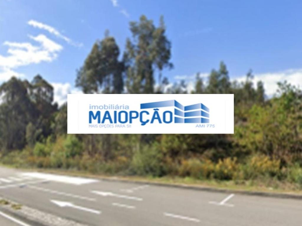 Lote para venda em S. JOÃO DA MADEIRA