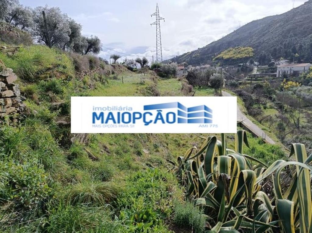 Imóvel para venda em TABUAÇO, Viseu