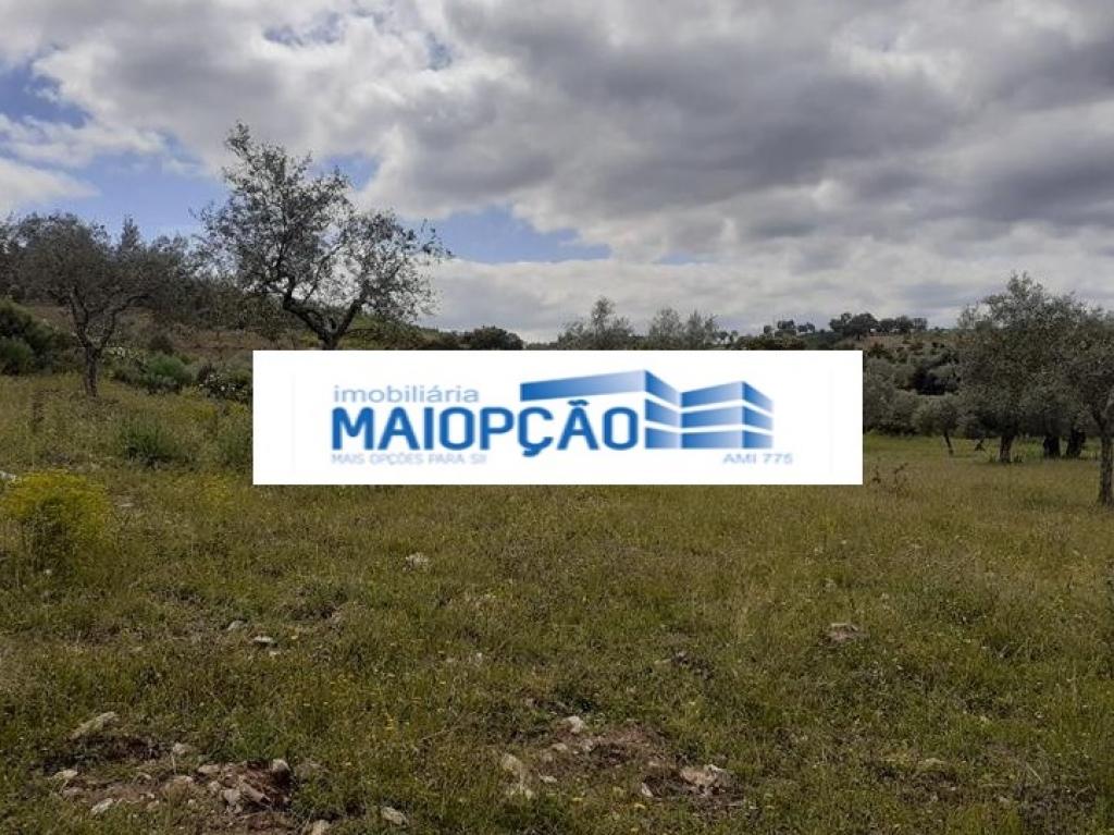 Lote para venda em CASTRO VICENTE, Mogadouro, Bragança