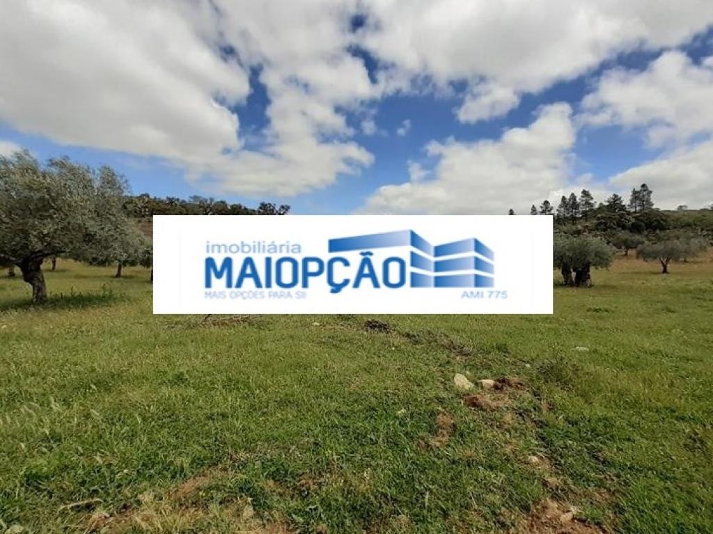 Lote para venda em CASTRO VICENTE, Mogadouro, Bragança