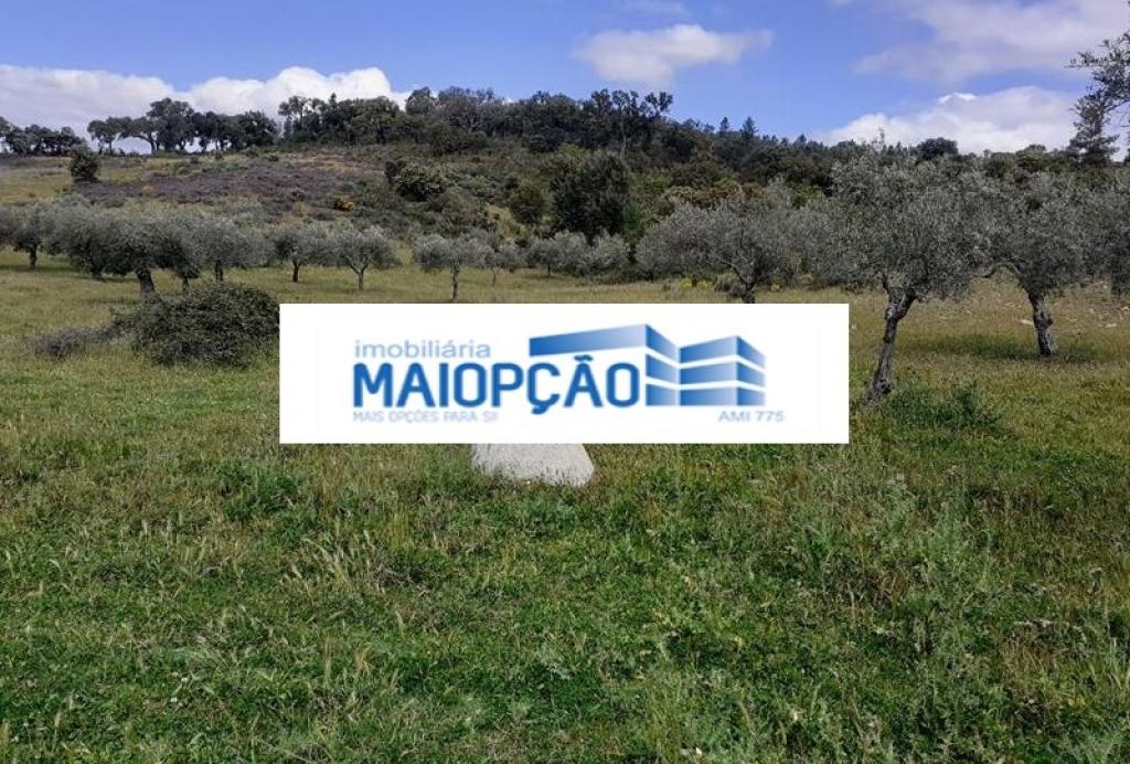 Lote para venda em CASTRO VICENTE, Mogadouro, Bragança