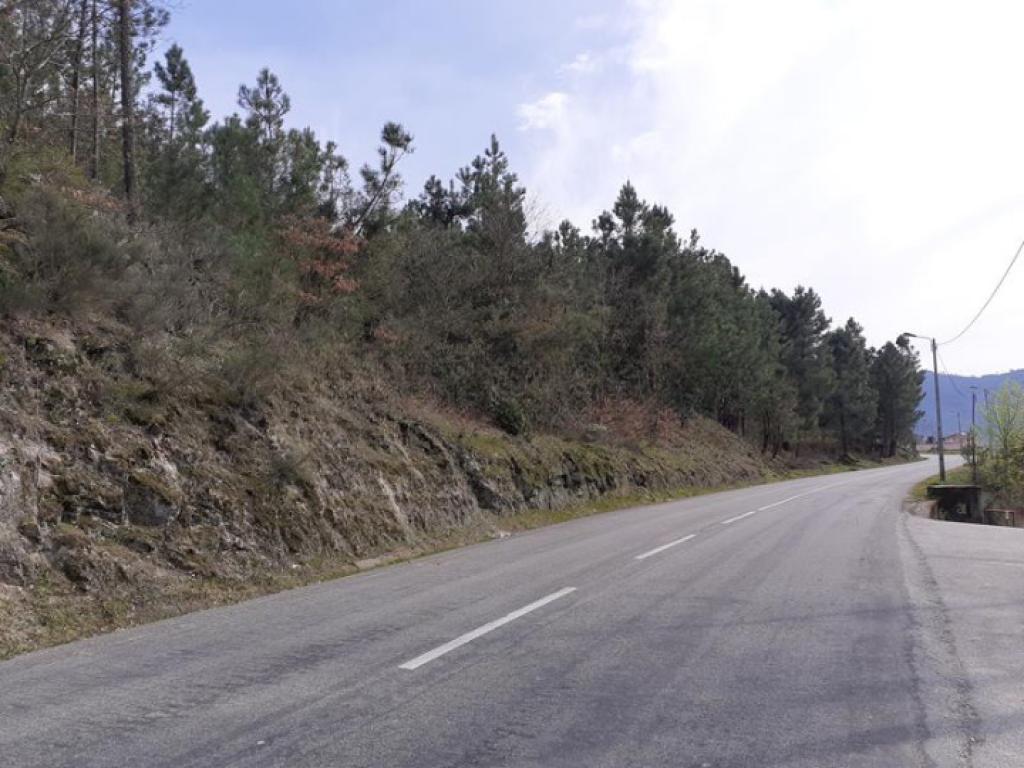 Lote para venda em SÂO JOÃO DE TAROUCA