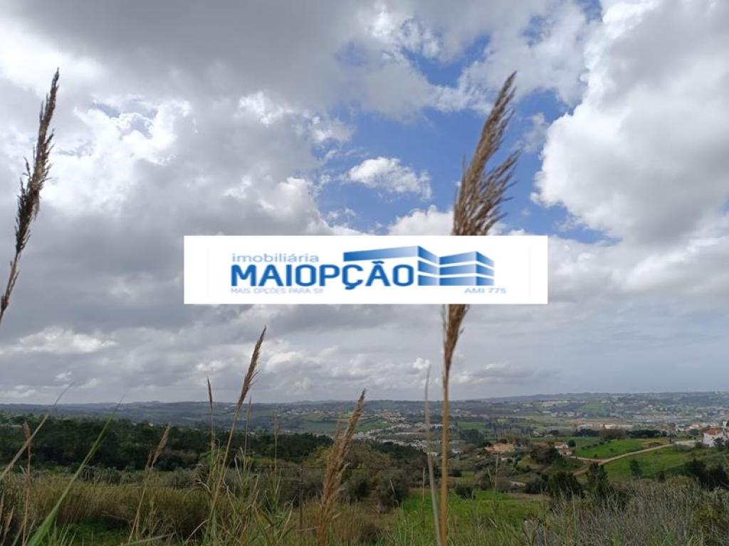 Lote para venda em ALJUBARROTA, Alcobaça, Leiria