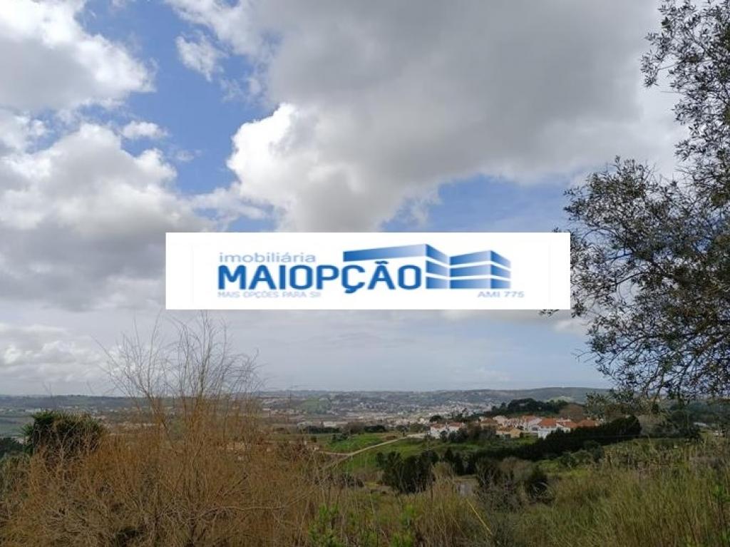 Lote para venda em ALJUBARROTA, Alcobaça, Leiria
