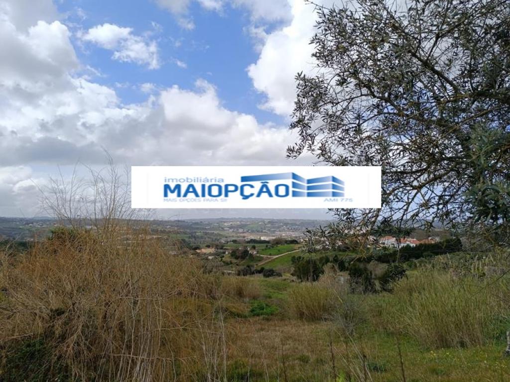 Lote para venda em ALJUBARROTA, Alcobaça, Leiria