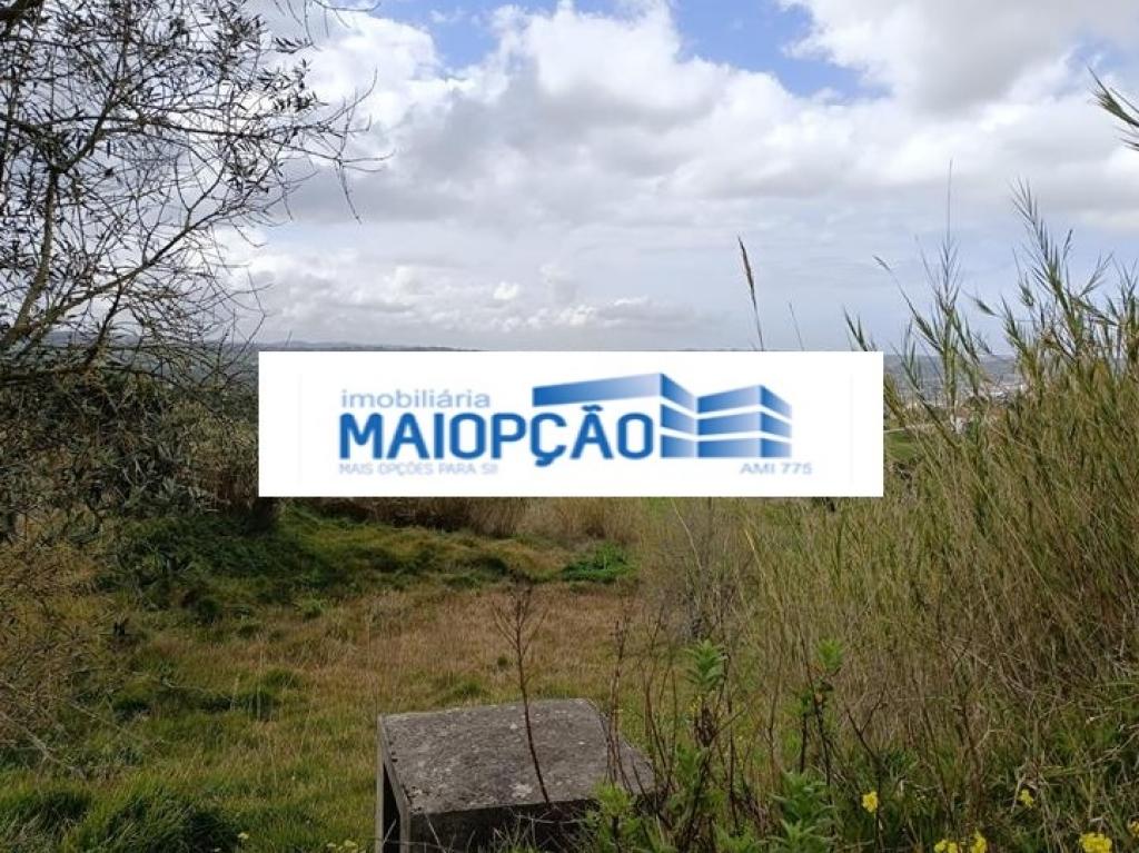 Lote para venda em ALJUBARROTA, Alcobaça, Leiria