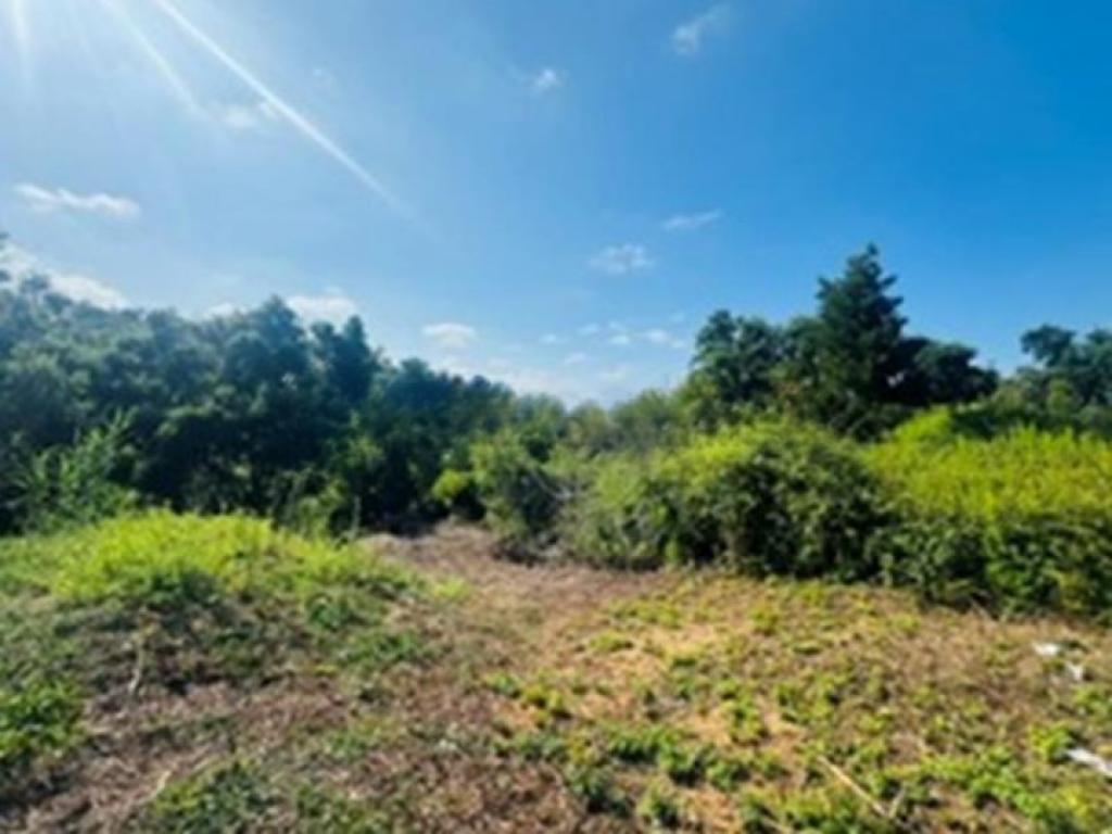Lote para venda em LEIRIA, POUSOS, BARREIRA E CORTES, Leiria