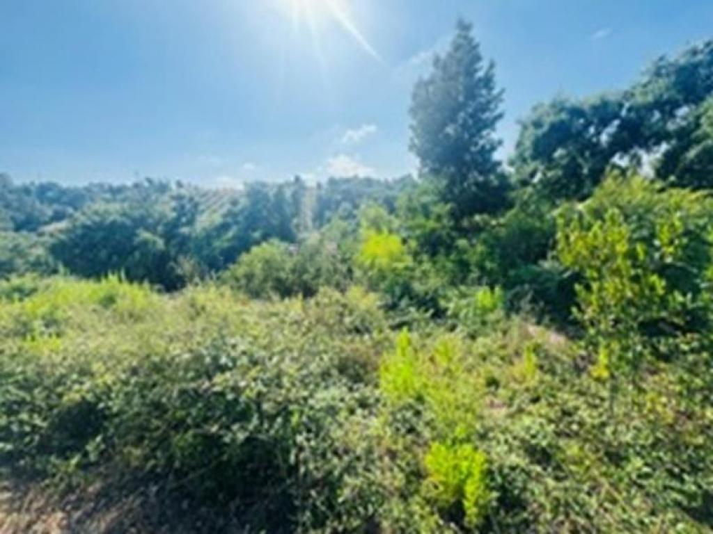 Lote para venda em LEIRIA, POUSOS, BARREIRA E CORTES, Leiria